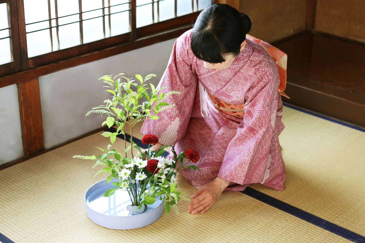 Ikebana Lart Floral Japonais Nippon Infos Sur Le Japon