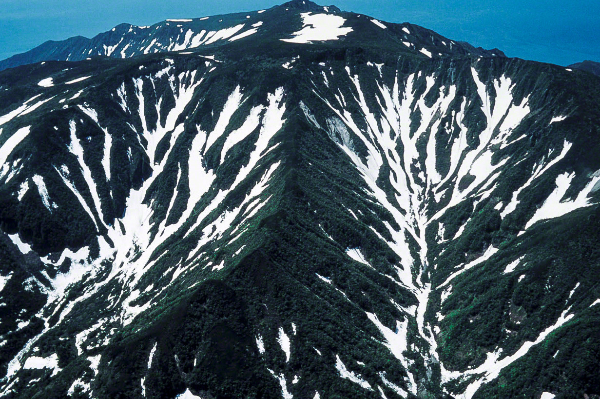 صورة لقمة شيريتوكوداكي التي يبلغ ارتفاعها 1254 متراً خلال فترة بداية الصيف. (© ميزوكوشي تاكيشي)