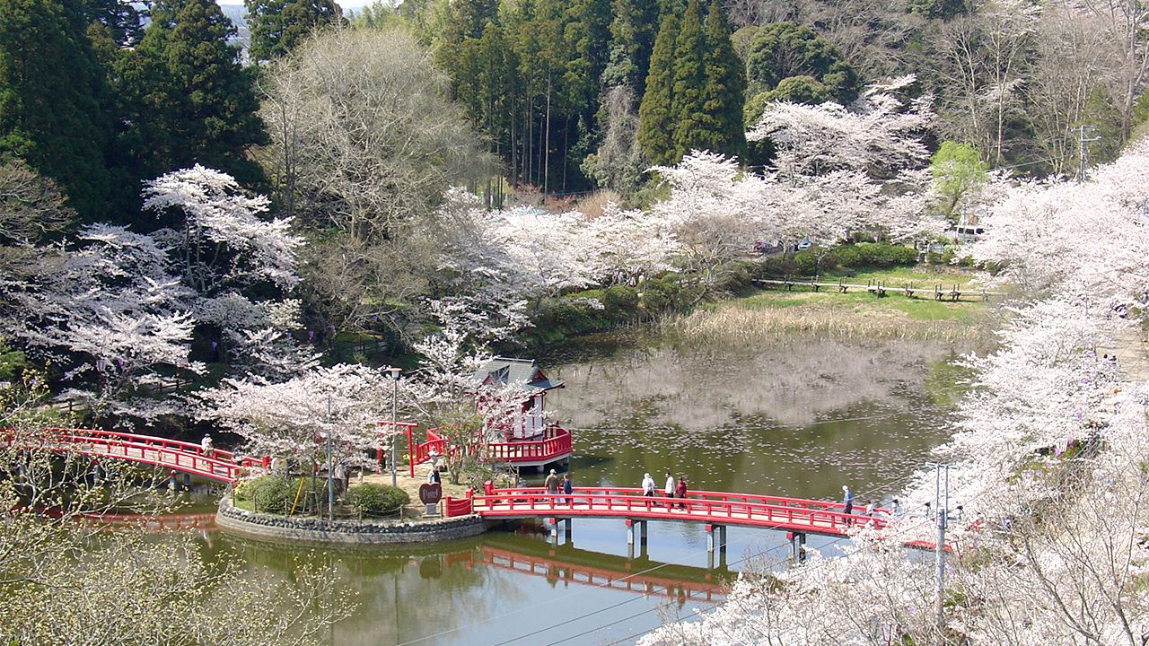 赏樱名胜百选 千叶茂原公园 Nippon Com