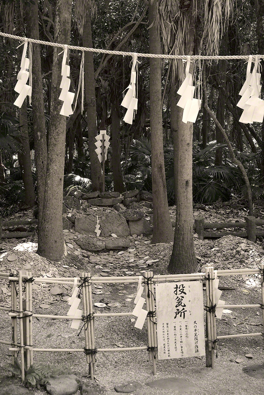 A deity dwells within a stone circle surrounded by trees. (© Ōsaka Hiroshi)