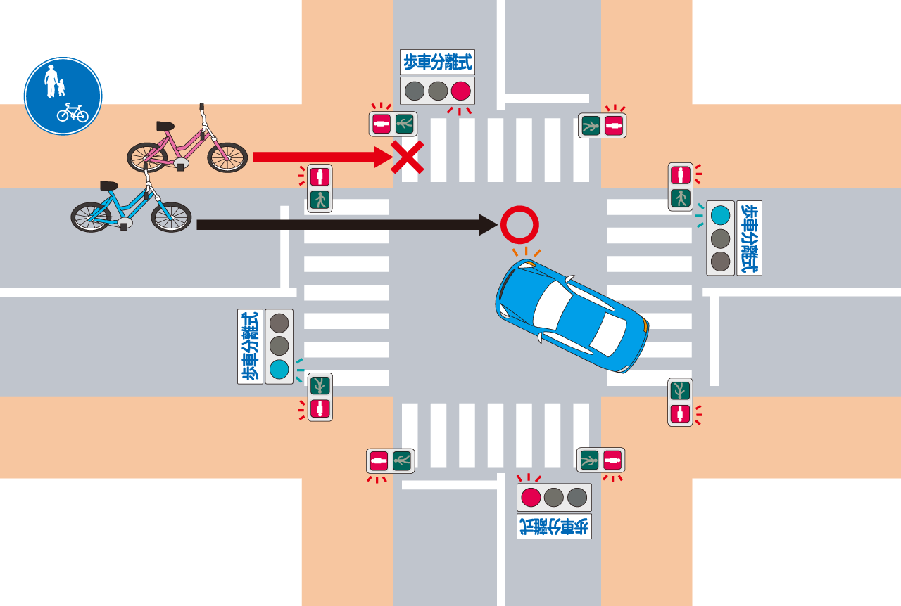 Bicyclists follow pedestrian crossing signals when on sidewalks and traffic signals when on the road. Cyclists riding on the road need to keep an eye out for turning vehicles when passing through an intersection. (© Satō Tadashi)