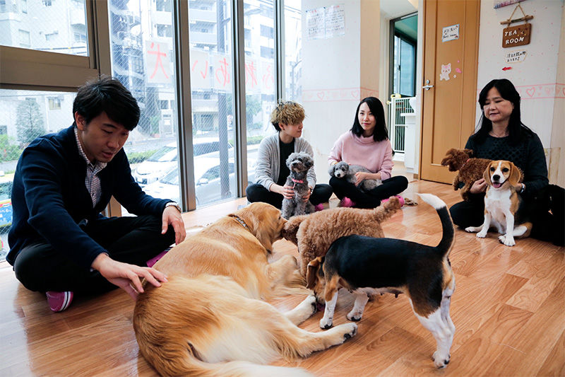 Hop Slither Or Fly To These Tokyo Animal Cafes Nippon Com