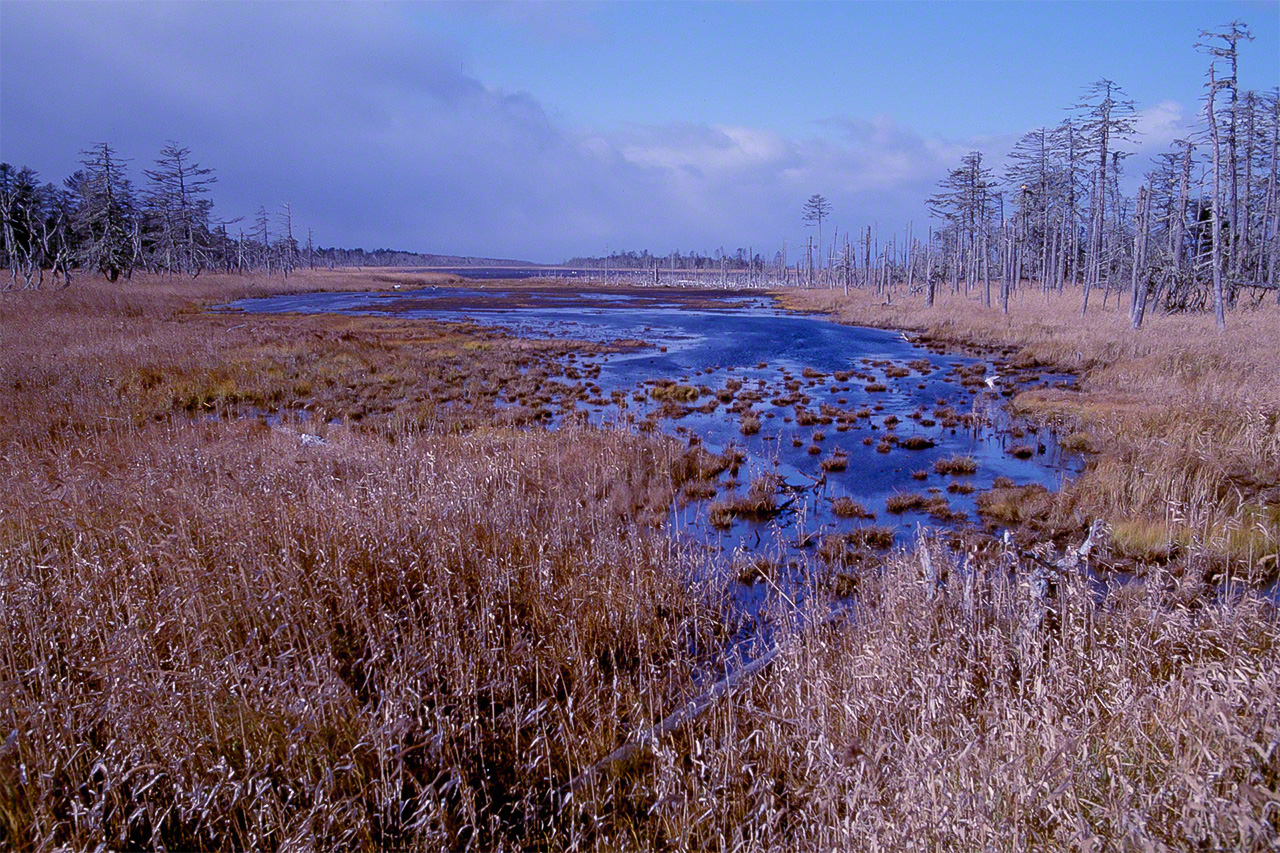 Lake Fūren is a birdwatcher’s paradise. Including its famous flocks of whooper swans, it is home to more than 300 types of wild birds. (© Mizukoshi Takeshi)