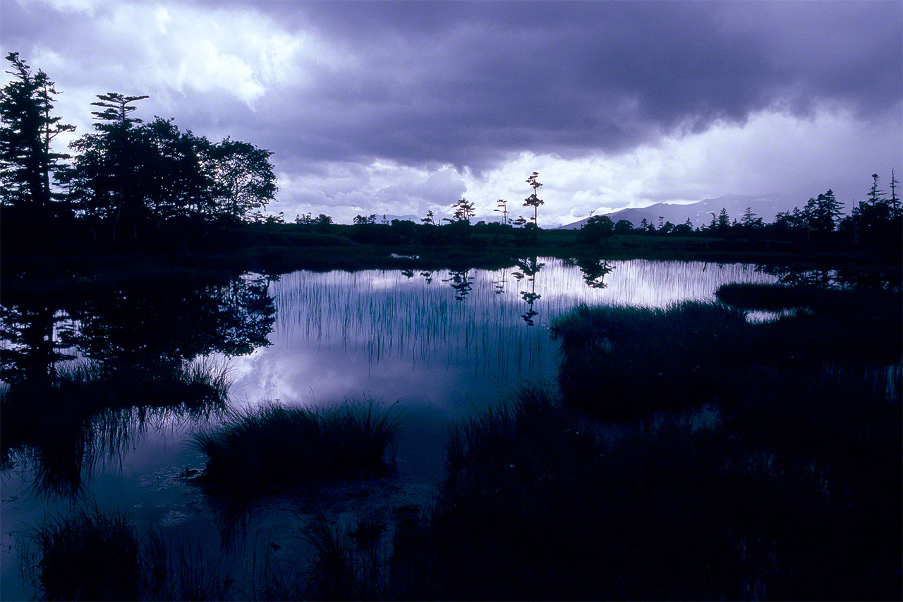 One of the many alpine marshes that dot the area around Mount Asahidake in the Daisetsuzan Range. (© Mizukoshi Takeshi)