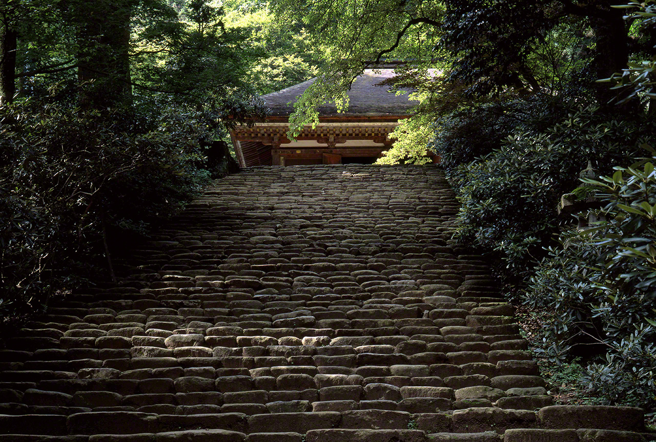 The Yoroi-zaka (armor slope) that leads to the Kondō, where the standing image of Shakyamuni is housed. (© Muda Tomohiro)