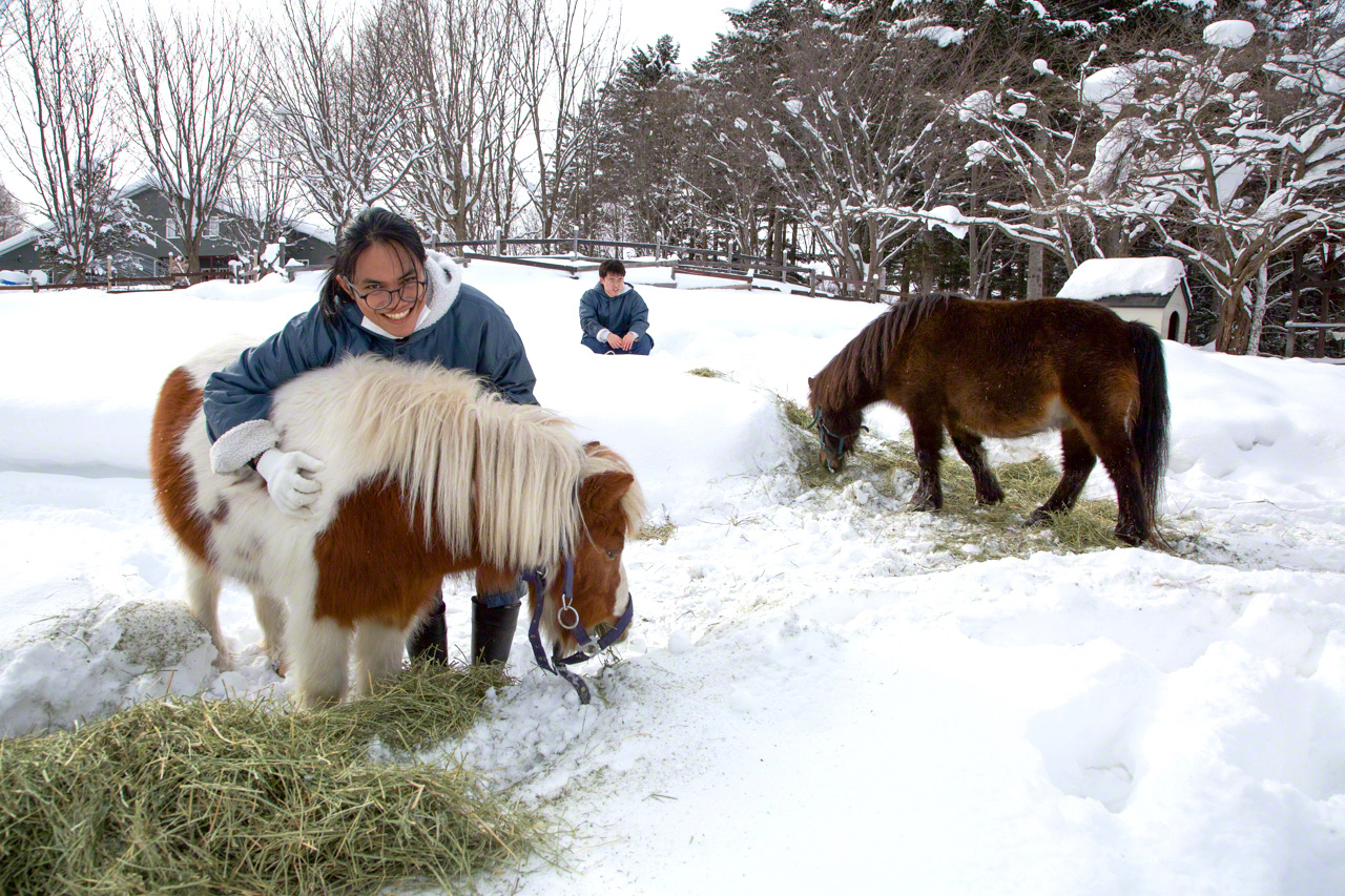 Students caring for the elderly ponies that belong to the school’s department of nursing care and social welfare. (© Ōnishi Naruaki)