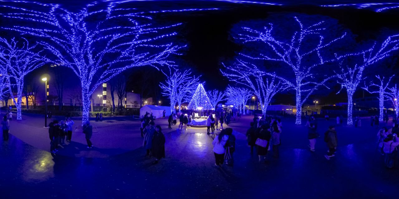 In December, Blue Grotto Shibuya creates a festive mood with 770,000 lights decorating trees lining the street leading to Yogogi Park. (© Somese Naoto)