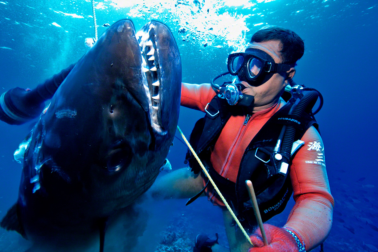 Loredo, la nueva cuna de la pesca submarina