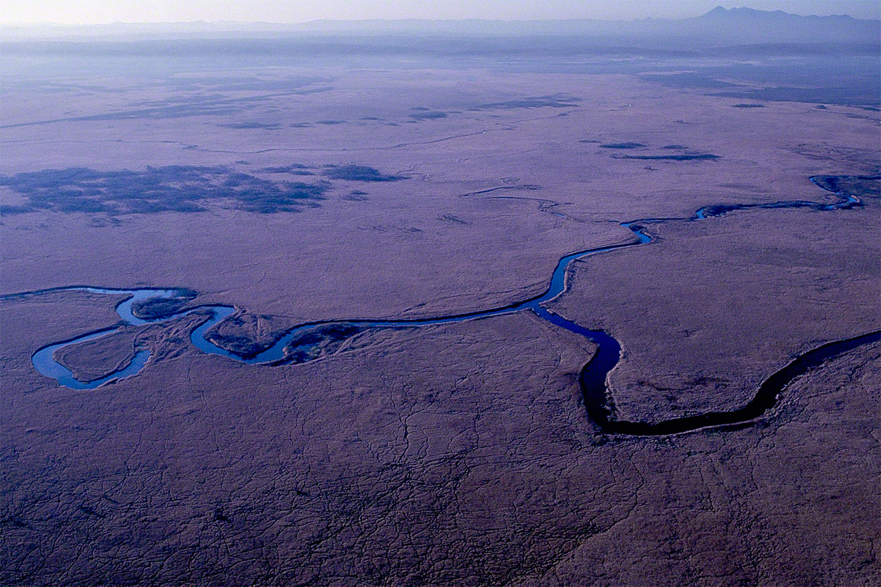 El río Kushiro serpenteando entre los humedales.