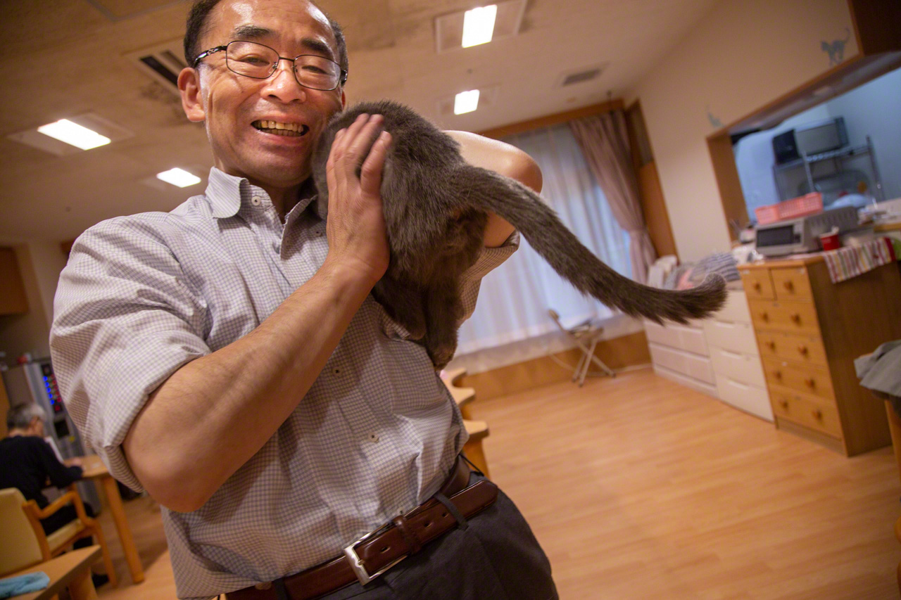 El director Wakayama cargando en el hombro a Ao, un gato azul ruso adoptado. Es el jefe de todos los animales de la residencia.