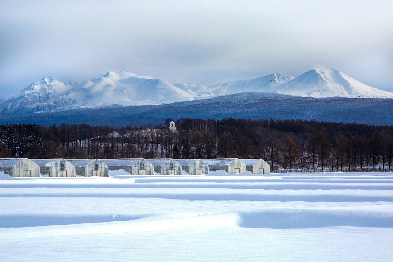 Derrière la tour blanche de l’Asahikawa Welfare Professional Training College se dressent, à droite, le mont Asahi et d’autres sommets de la chaîne Daisetsu.