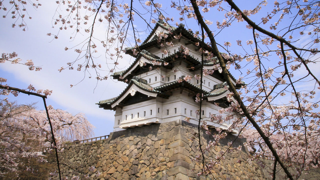 現存天守的名城 弘前城 青森的歷史 文化景點 2 Nippon Com