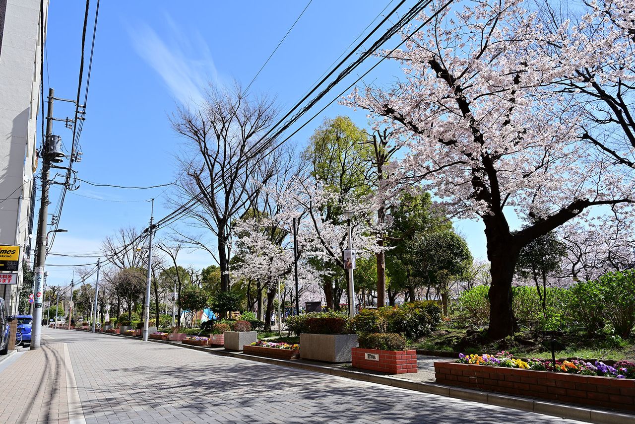 吾妻橋金龍山遠望』：浮世写真家 喜千也の「名所江戸百景」第110回 | nippon.com