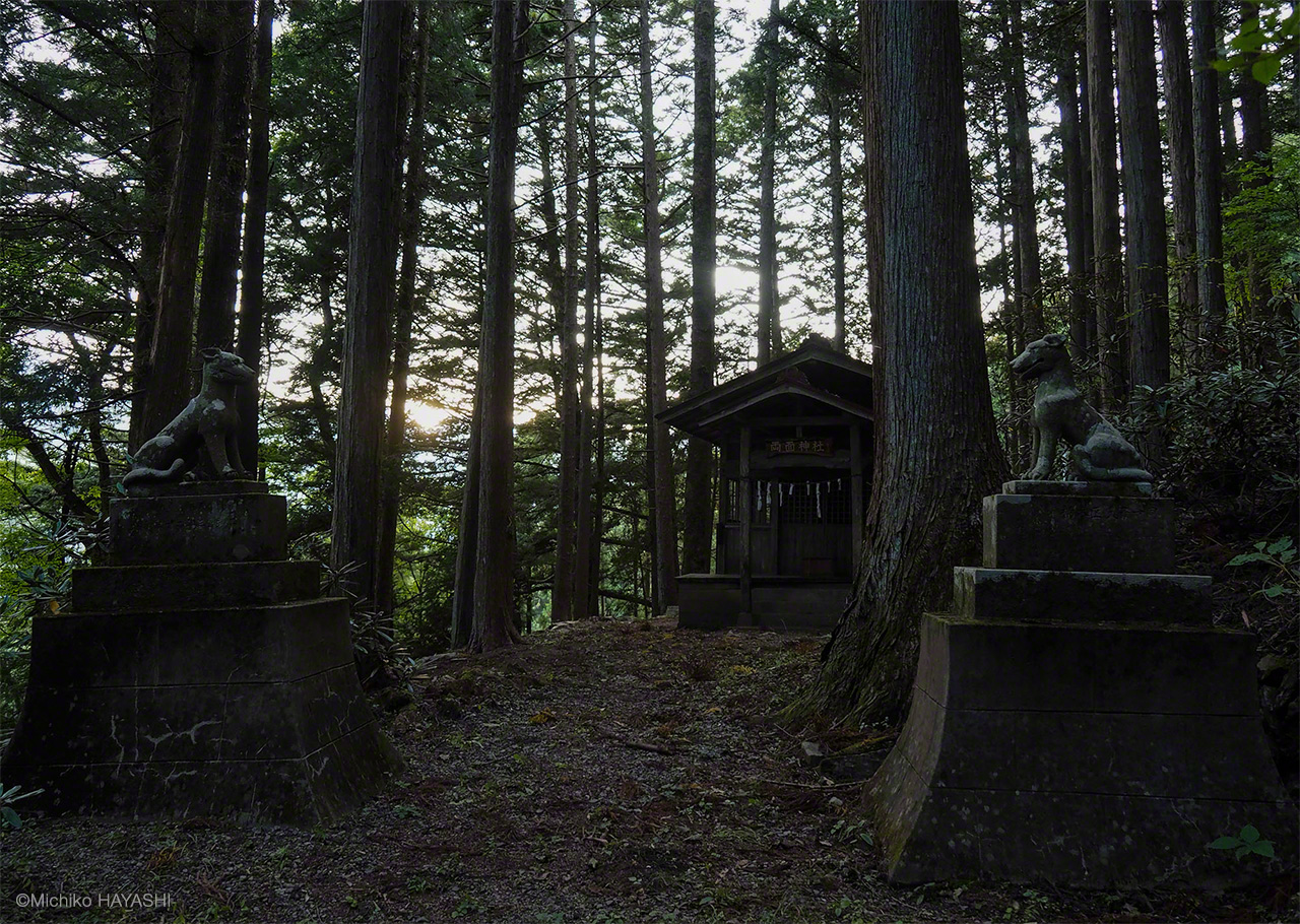 荒川上流に広がる秩父山地には、オオカミを祀る神社が20社余り点在し、火防、盗賊除、四足除などを祈願する護符が氏子に配られている