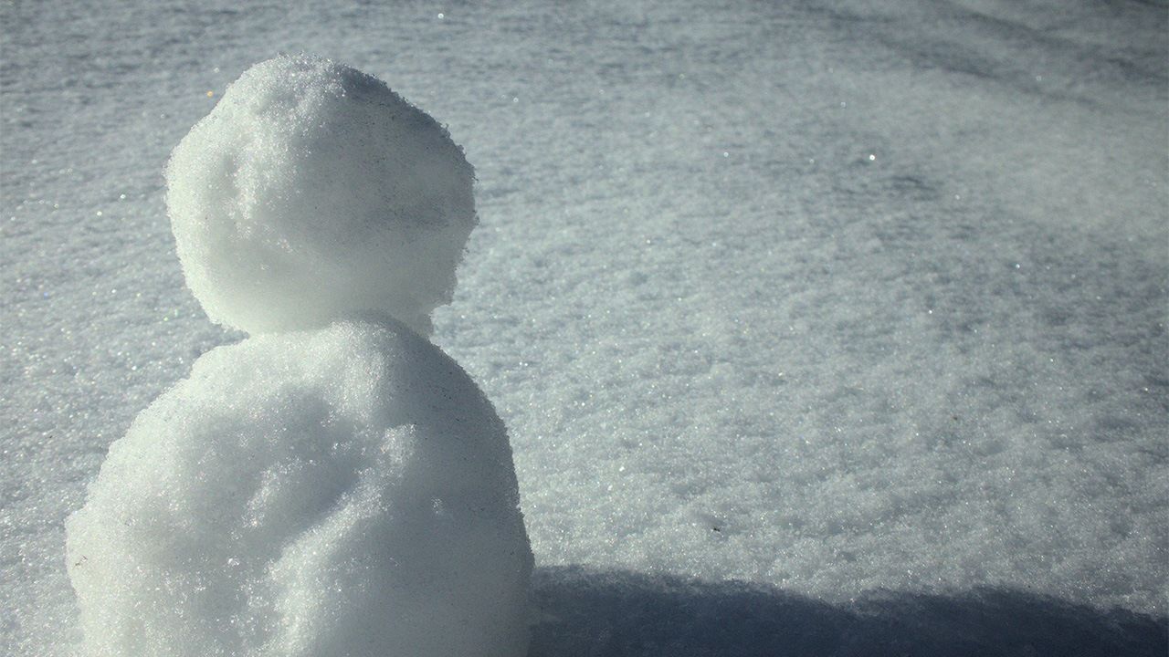 君火をたけよき物見せん雪まるげ ― 芭蕉 | nippon.com