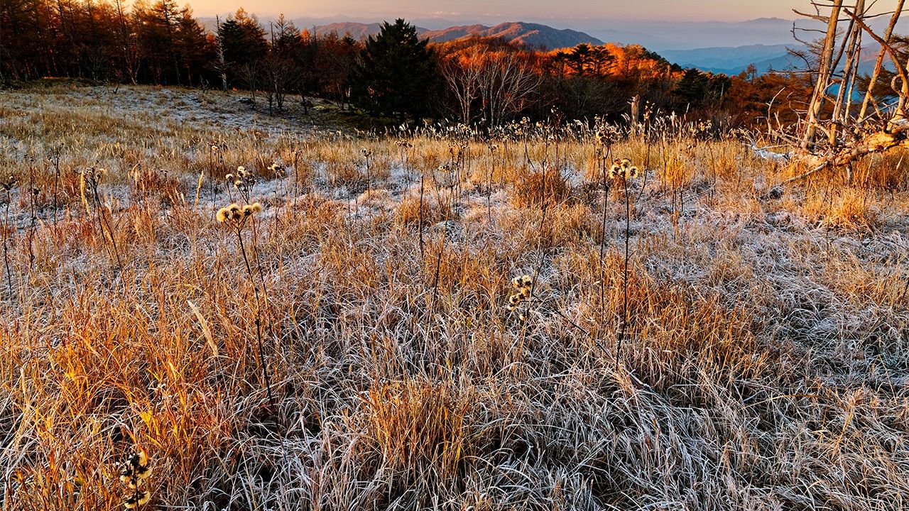 旅にやんで夢は枯野をかけまはる ― 芭蕉 | nippon.com