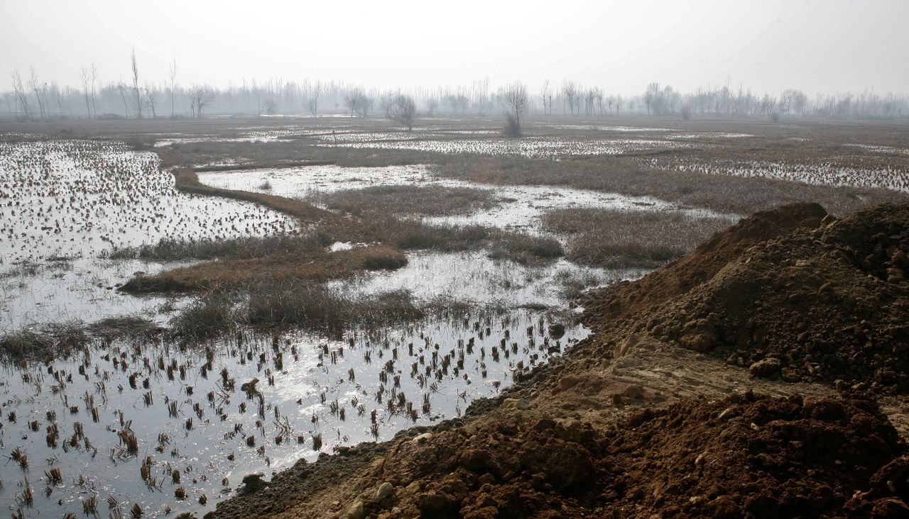 住宅団地建設のため、7000の運河（約875エーカー）が土で埋められているインド・カシミール州スリナガルの北西15キロにある巨大湿地。水田として利用されていた広大な湿地は、渡り鳥の生息地だった。2011年1月31日撮影（Photo by：Yawar Nazir/Getty Images）