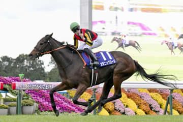 スタニングローズが優勝 競馬のエリザベス女王杯