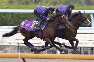 必勝期すドウデュース 競馬のジャパンC追い切り