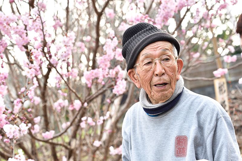 16代佐野藤右衛門：数々の名庭園を手がけた伝説の庭師 | nippon.com