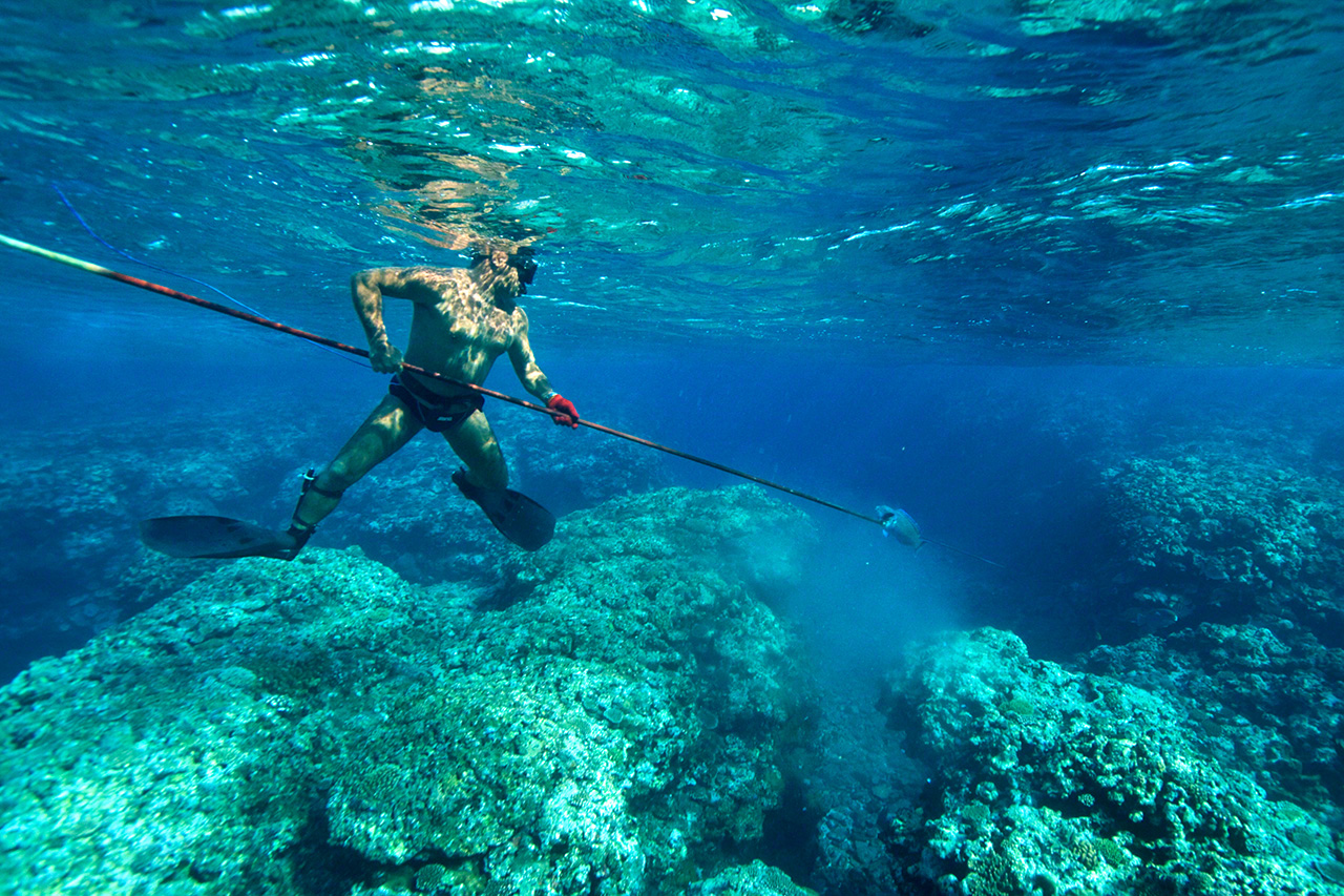 Длина копья «нага-игун», которым пронзают рыбу, превышает пять метров. Это традиционный способ промысла на островах Исигаки и Мияко